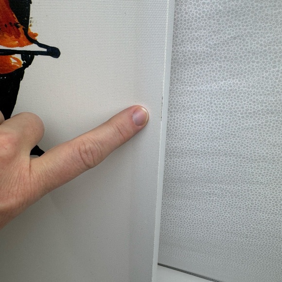 Fennec fox | Canvas Print | 16”x20” | Used - Picture 7 of 7